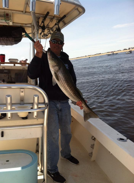 Striped Bass Charter Trip